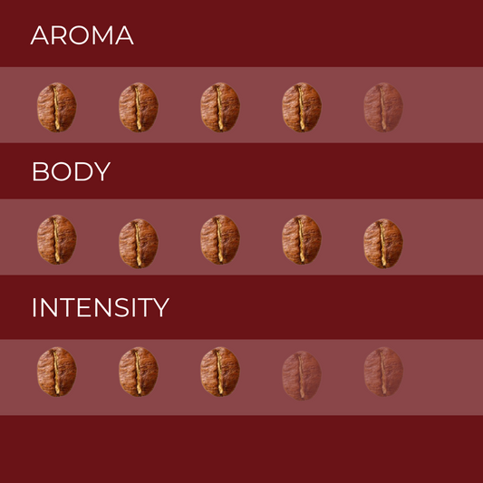 American Filter Deca 250gr.